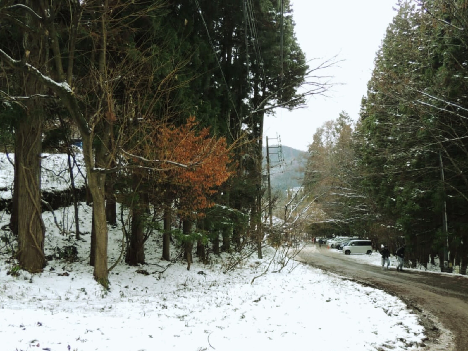 Nagano Private Tour – Snow Monkeys & Zenko-ji Highlights - Image 6