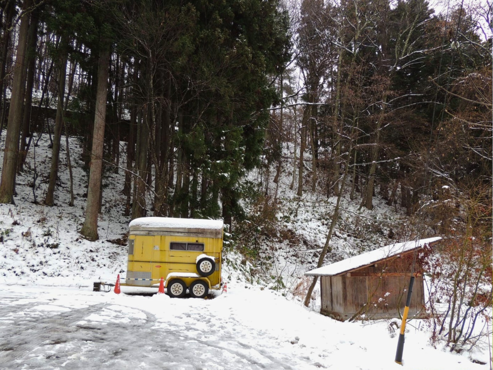 Nagano Private Tour – Snow Monkeys & Zenko-ji Highlights - Image 7