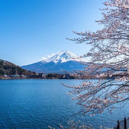 Tokyo, Mount Fuji, Hakone & Nikko Highlights: Private Japan Holiday Package (Copy)