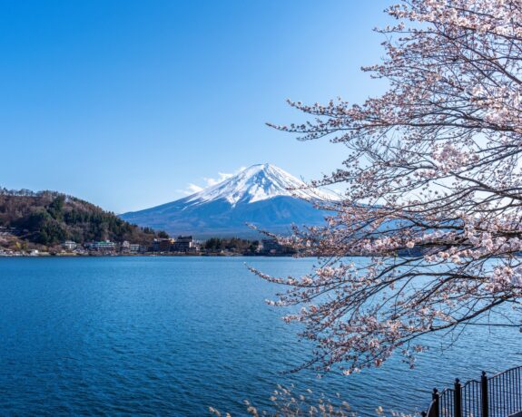 Tokyo, Mount Fuji, Hakone & Nikko Highlights: Private Japan Holiday Package (Copy)