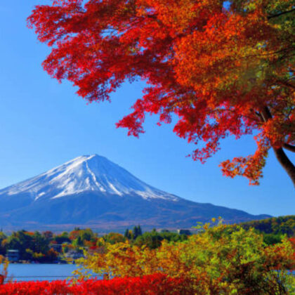 Ultimate Japan Experience: Tokyo, Mt. Fuji, Hakone and Nagano