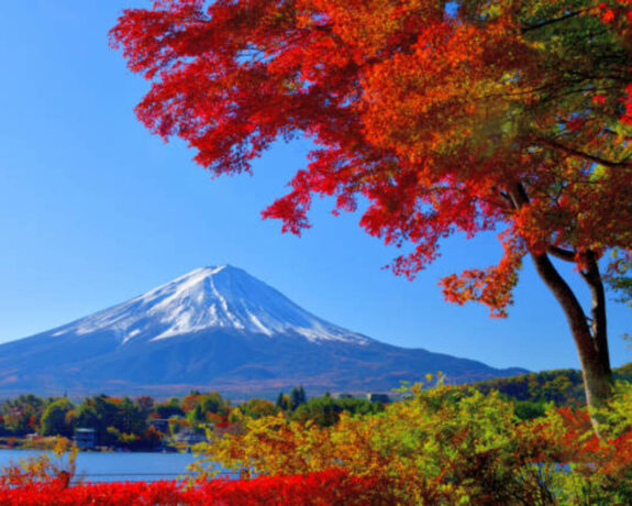 Ultimate Japan Experience: Tokyo, Mt. Fuji, Hakone and Nagano