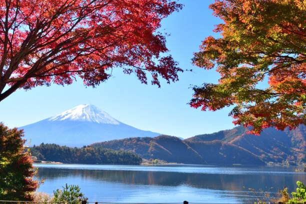 Mount Fuji, Hakone & Tokyo Highlights – Private Day Tour - Image 7