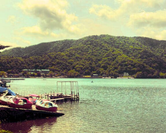 Nikko Private Tour – UNESCO World Heritage Day Trip from Tokyo