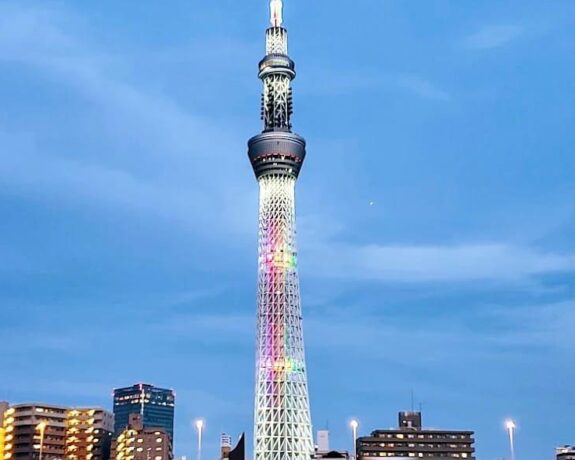 Mount Fuji, Hakone & Tokyo Highlights – Private Day Tour