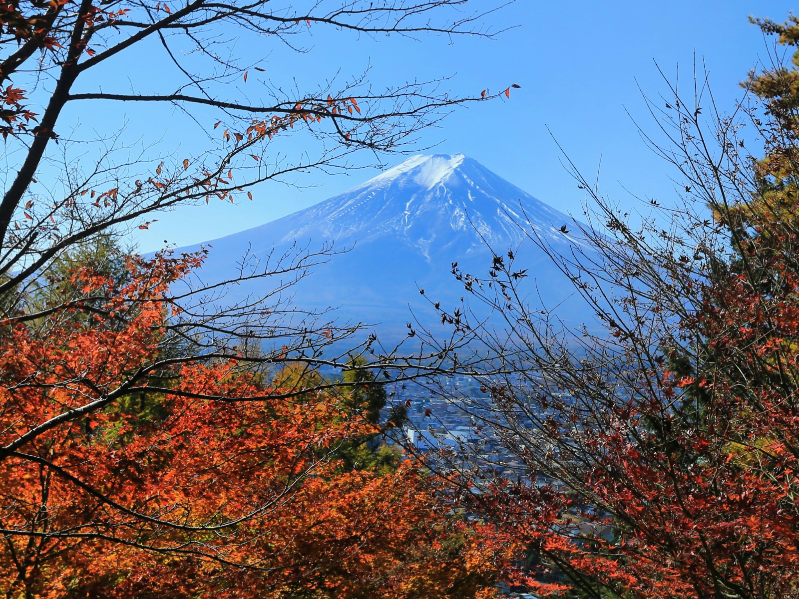 WhatsApp Image 2025-12-27 at 7.25.08 AM